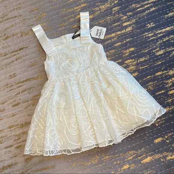 NWT $298 David Charles Girls 2 Year 24 Months Designer Classic Flower Girl Dress - Picture 1 of 14